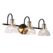 Saxifraga 3-Light Black and Brass Vanity Light