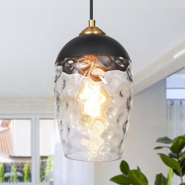 Fhbauos 1-Light Black and Brass Pendant Light