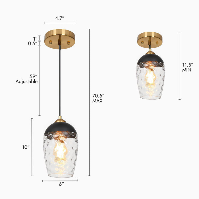 Fhbauos 1-Light Black and Brass Pendant Light