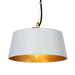 1-Light Modern Pendant Lights - Belles Lighting