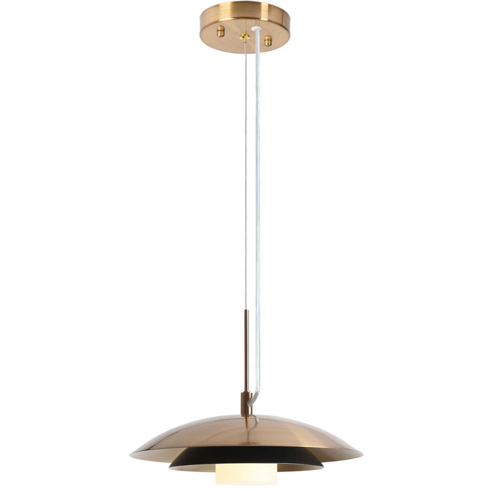 Veslyn 1-Light LED Black and Gold Pendant Lights