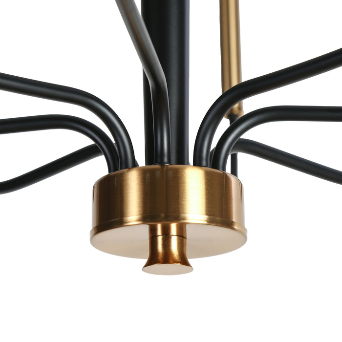 Priamur 8-Light Black and Brass Chandeliers