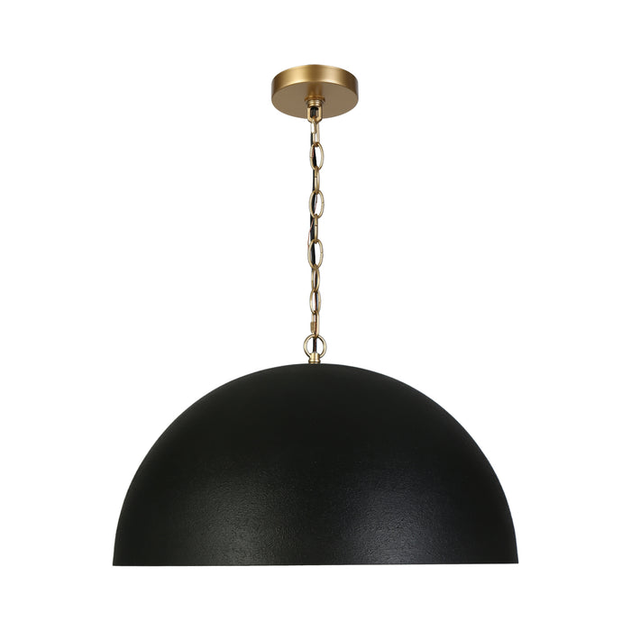 Lumora 1-Light Black and Gold Pendant Light