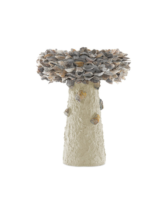 Oyster Shell Medium Bird Bath